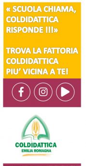 Coldidattica – Reggio Emilia