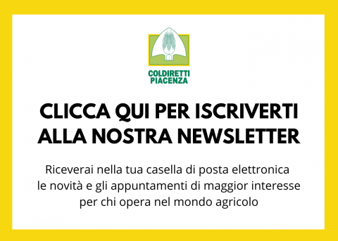 Newsletter – Piacenza