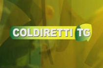 Coldiretti TG – Ravenna Ferrara