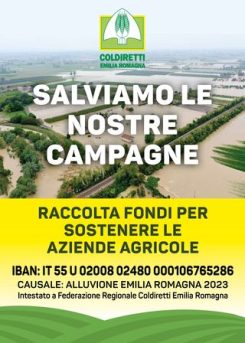 Raccolta fondi alluvione Romagna 2023