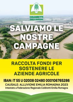 Solidarietà Romagna